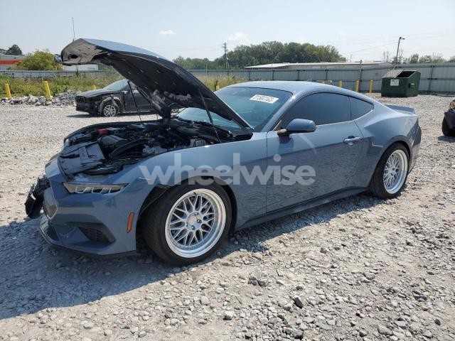 Photo 10 of 2024 FORD MUSTANG (VIN 1FA6P8TH1R5118599)