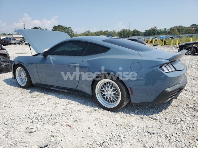 Photo 12 of 2024 FORD MUSTANG (VIN 1FA6P8TH1R5118599)
