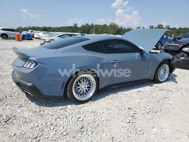 Photo 9 of 2024 FORD MUSTANG (VIN 1FA6P8TH1R5118599)