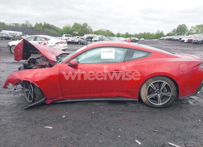 Photo 14 of 2024 Ford Mustang ECOBOOST PREMIUM FASTBACK (VIN 1FA6P8TH1R5137895)