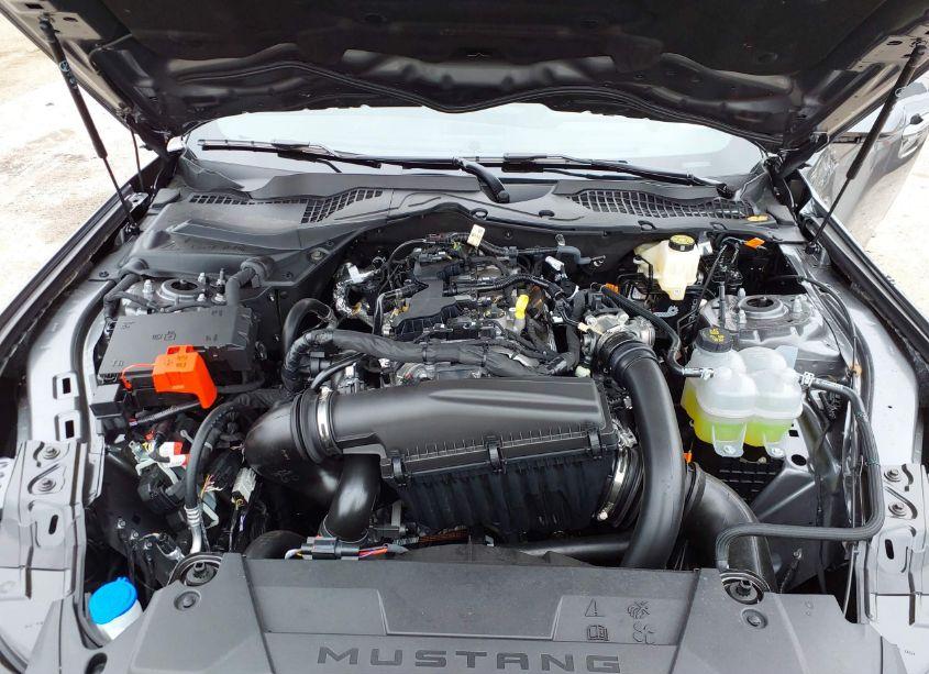 Photo 10 of 2024 Ford Mustang ECOBOOST (VIN 1FA6P8TH1R5146371)