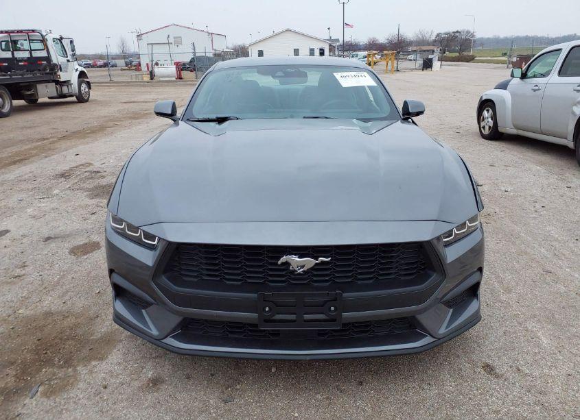 Photo 12 of 2024 Ford Mustang ECOBOOST (VIN 1FA6P8TH1R5146371)