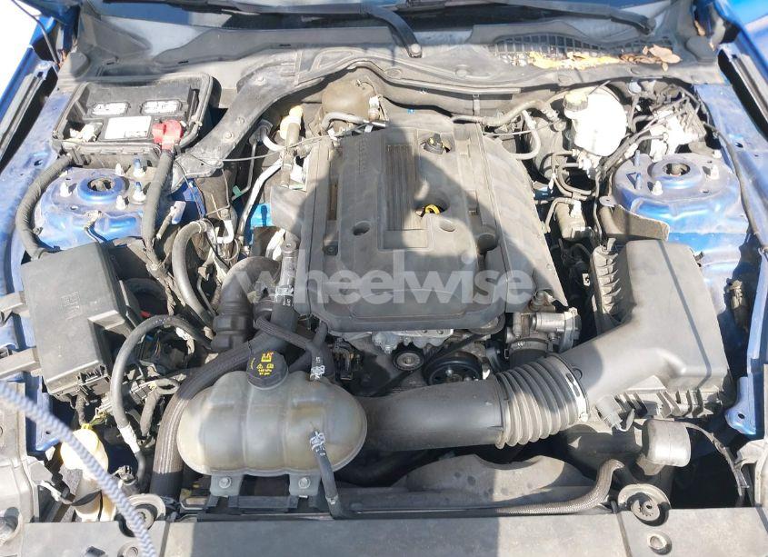 Photo 10 of 2017 Ford Mustang ECOBOOST (VIN 1FA6P8TH2H5208648)