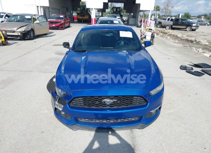 Photo 12 of 2017 Ford Mustang ECOBOOST (VIN 1FA6P8TH2H5208648)