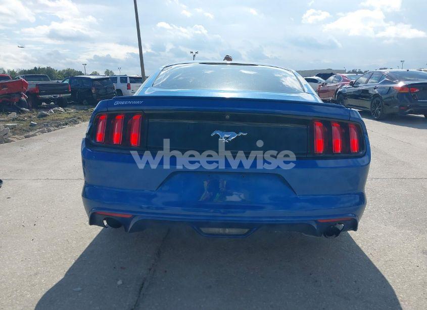 Photo 16 of 2017 Ford Mustang ECOBOOST (VIN 1FA6P8TH2H5208648)