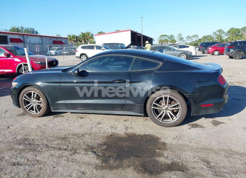 Photo 14 of 2017 Ford Mustang ECOBOOST (VIN 1FA6P8TH2H5276111)