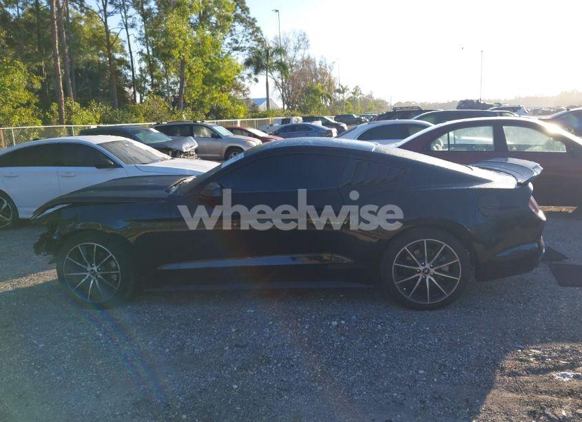 Photo 14 of 2017 Ford Mustang ECOBOOST (VIN 1FA6P8TH2H5286945)