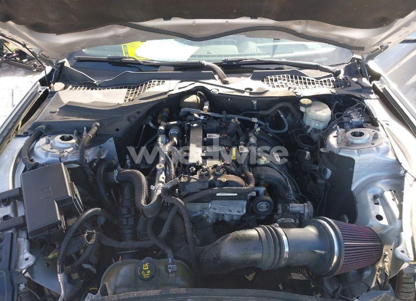 Photo 10 of 2017 Ford Mustang ECOBOOST (VIN 1FA6P8TH2H5343239)