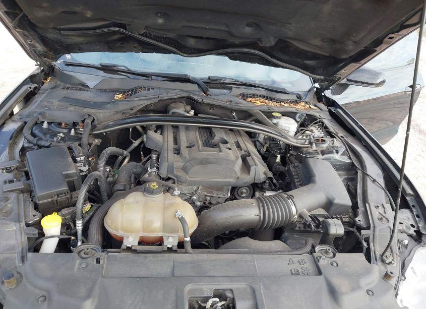 Photo 10 of 2018 Ford Mustang ECOBOOST (VIN 1FA6P8TH2J5159022)