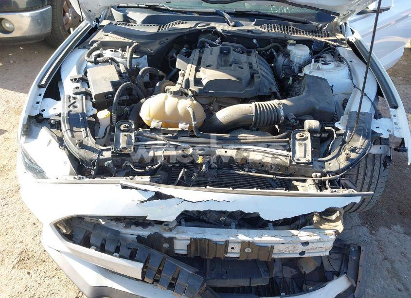 Photo 10 of 2019 Ford Mustang ECOBOOST (VIN 1FA6P8TH2K5102188)