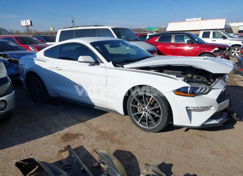 Photo 14 of 2019 Ford Mustang ECOBOOST (VIN 1FA6P8TH2K5102188)