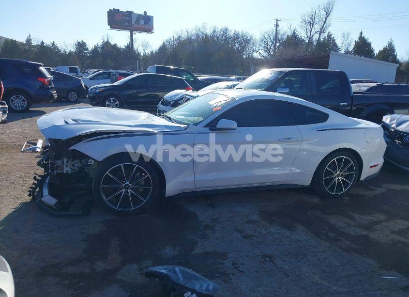 Photo 15 of 2019 Ford Mustang ECOBOOST (VIN 1FA6P8TH2K5102188)