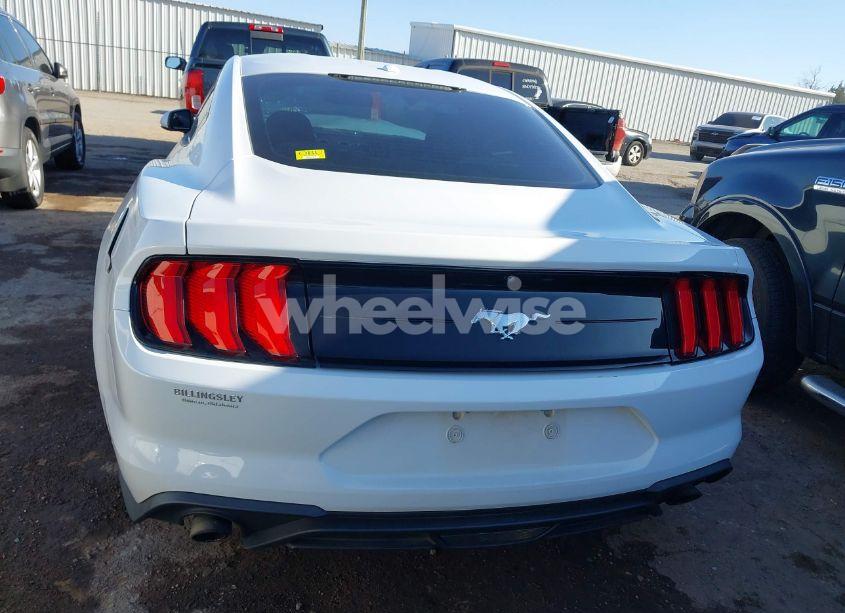Photo 17 of 2019 Ford Mustang ECOBOOST (VIN 1FA6P8TH2K5102188)