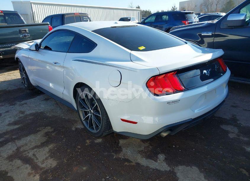 Photo 3 of 2019 Ford Mustang ECOBOOST (VIN 1FA6P8TH2K5102188)
