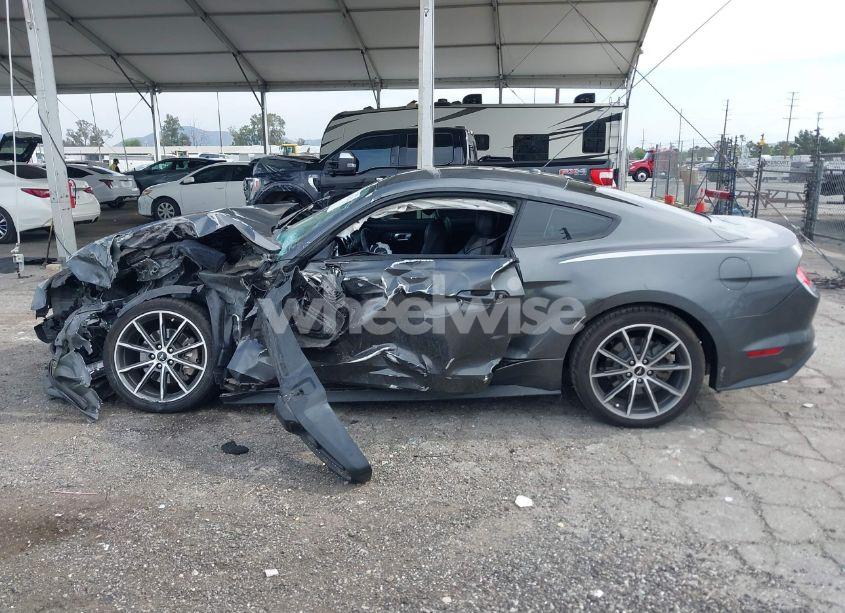 Photo 13 of 2019 Ford Mustang ECOBOOST (VIN 1FA6P8TH2K5119105)