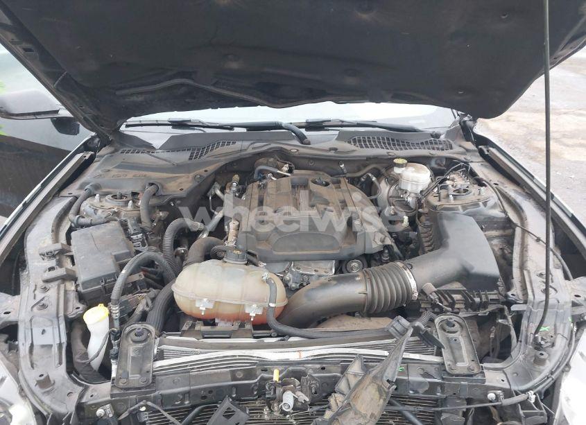 Photo 10 of 2019 Ford Mustang ECOBOOST (VIN 1FA6P8TH2K5129312)