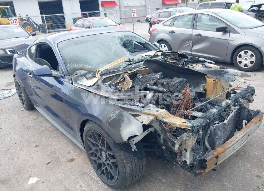 Photo 11 of 2019 Ford Mustang (VIN 1FA6P8TH2K5133098)