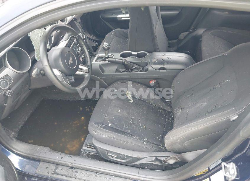 Photo 15 of 2019 Ford Mustang (VIN 1FA6P8TH2K5133098)