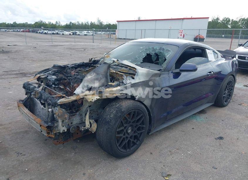 Photo 2 of 2019 Ford Mustang (VIN 1FA6P8TH2K5133098)