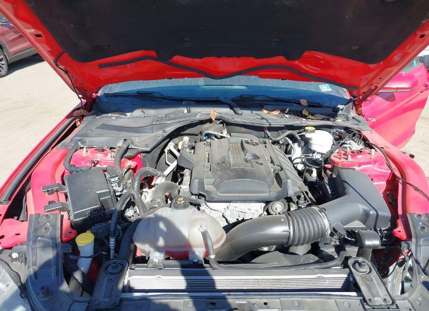 Photo 10 of 2019 Ford Mustang ECOBOOST (VIN 1FA6P8TH2K5133330)