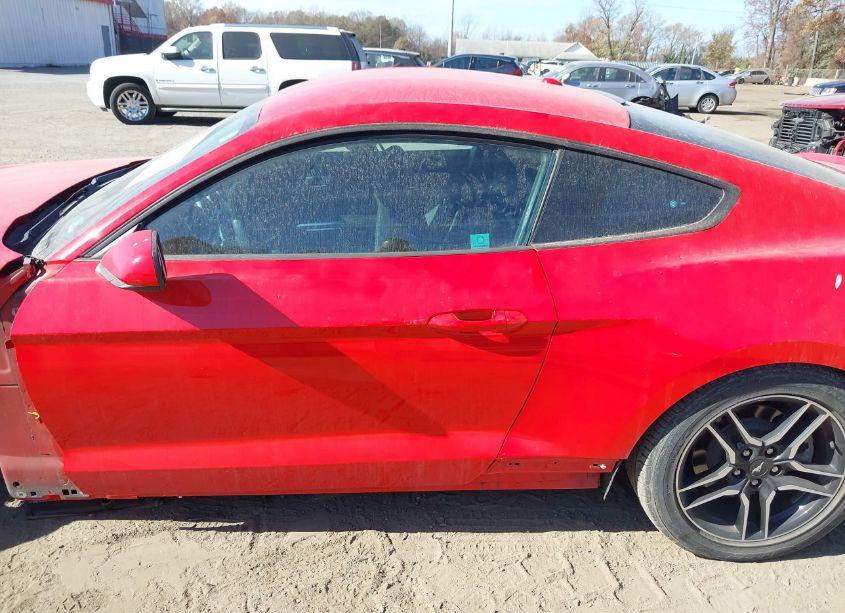 Photo 14 of 2019 Ford Mustang ECOBOOST (VIN 1FA6P8TH2K5133330)