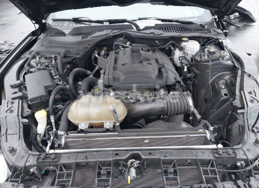 Photo 10 of 2019 Ford Mustang ECOBOOST (VIN 1FA6P8TH2K5143582)