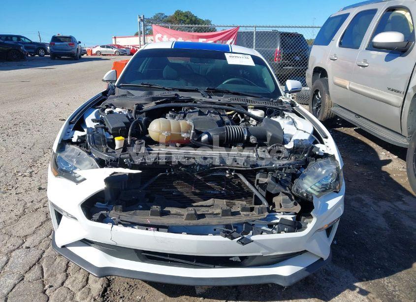 Photo 12 of 2019 Ford Mustang ECOBOOST (VIN 1FA6P8TH2K5184536)