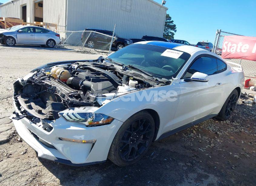 Photo 14 of 2019 Ford Mustang ECOBOOST (VIN 1FA6P8TH2K5184536)