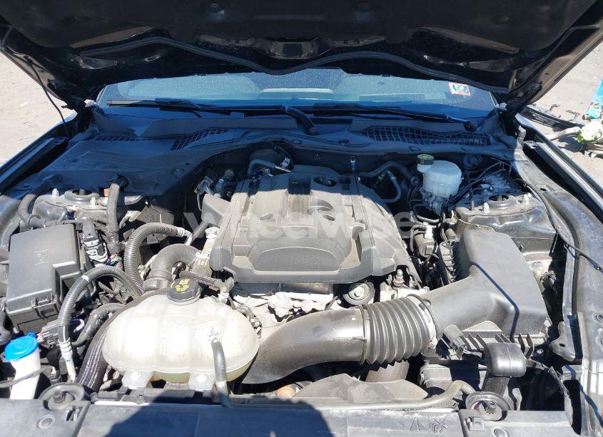 Photo 10 of 2020 Ford Mustang ECOBOOST FASTBACK (VIN 1FA6P8TH2L5128971)