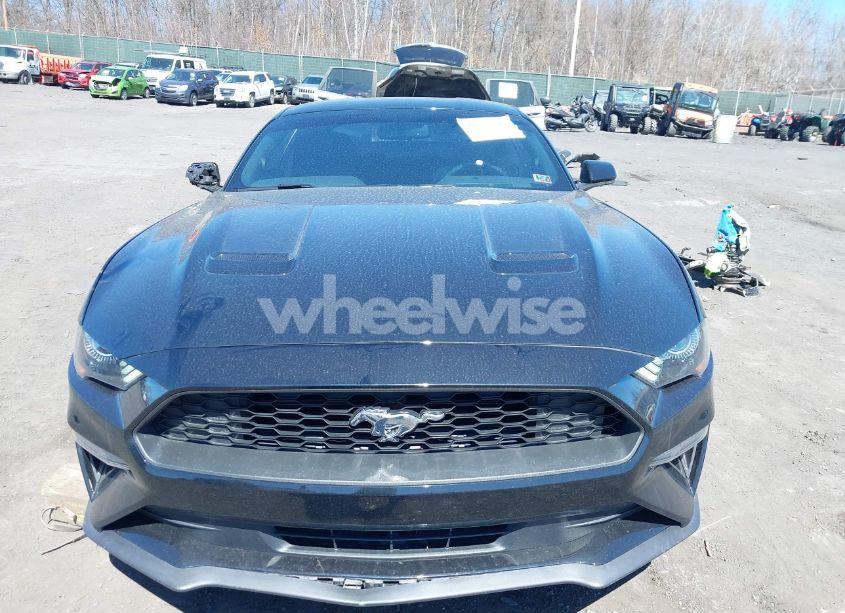 Photo 12 of 2020 Ford Mustang ECOBOOST FASTBACK (VIN 1FA6P8TH2L5128971)
