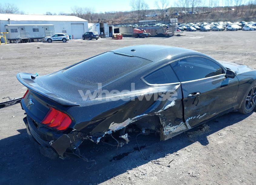 Photo 6 of 2020 Ford Mustang ECOBOOST FASTBACK (VIN 1FA6P8TH2L5128971)