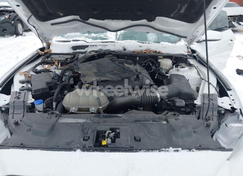 Photo 10 of 2020 Ford Mustang ECOBOOST FASTBACK (VIN 1FA6P8TH2L5182142)