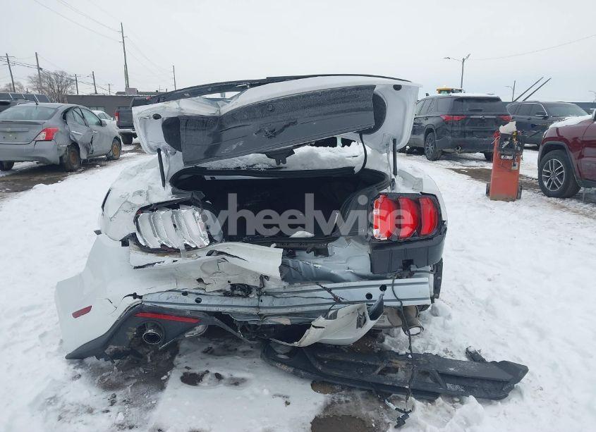 Photo 16 of 2020 Ford Mustang ECOBOOST FASTBACK (VIN 1FA6P8TH2L5182142)