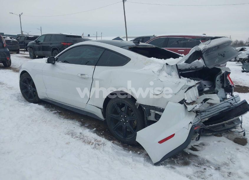 Photo 3 of 2020 Ford Mustang ECOBOOST FASTBACK (VIN 1FA6P8TH2L5182142)