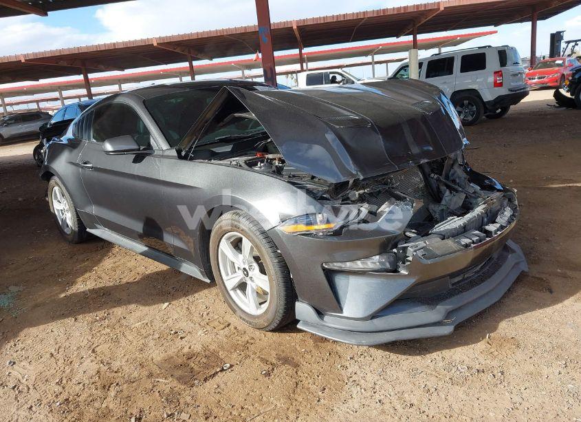 2020 Ford Mustang ECOBOOST FASTBACK (VIN 1FA6P8TH2L5182447) main photo
