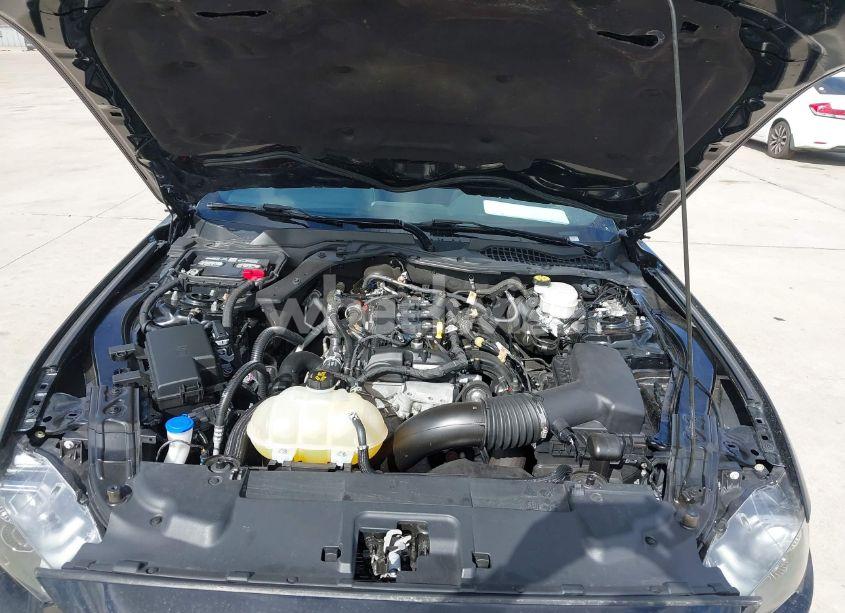 Photo 10 of 2021 Ford Mustang ECOBOOST FASTBACK (VIN 1FA6P8TH2M5140071)