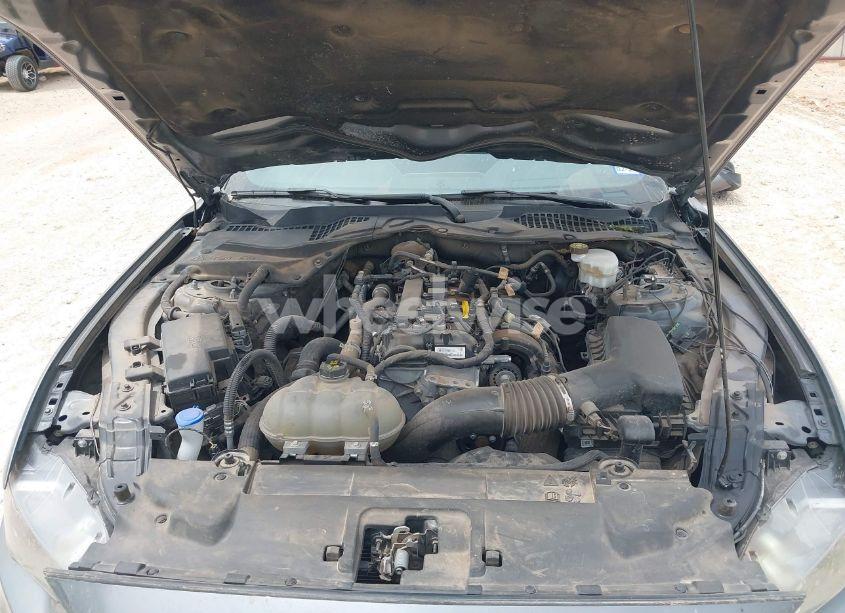 Photo 10 of 2022 Ford Mustang ECOBOOST PREMIUM FASTBACK (VIN 1FA6P8TH2N5139990)