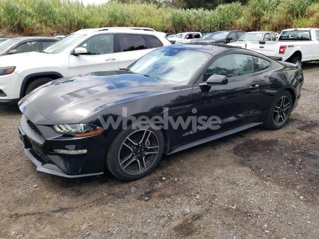 Photo 12 of 2023 FORD MUSTANG (VIN 1FA6P8TH2P5108399)