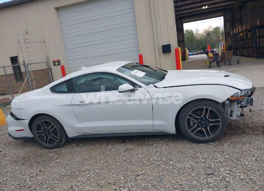 Photo 14 of 2023 Ford Mustang ECOBOOST PREMIUM FASTBACK (VIN 1FA6P8TH2P5110069)