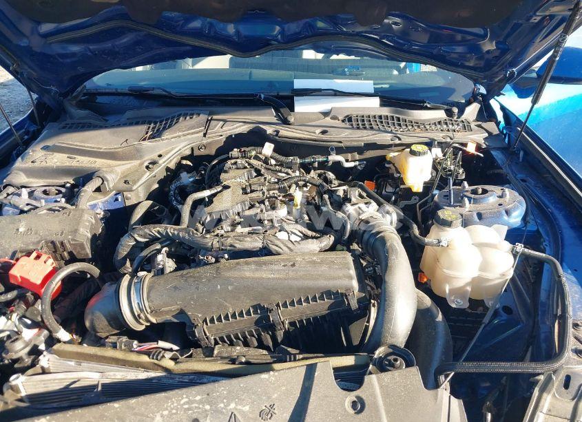 Photo 10 of 2024 Ford Mustang ECOBOOST PREMIUM FASTBACK (VIN 1FA6P8TH2R5126002)