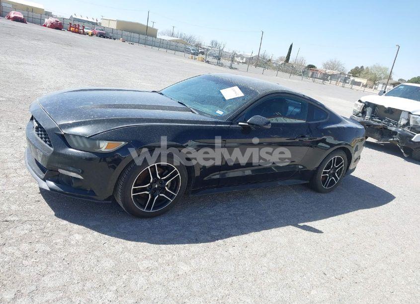 Photo 14 of 2015 Ford Mustang ECOBOOST (VIN 1FA6P8TH3F5315088)