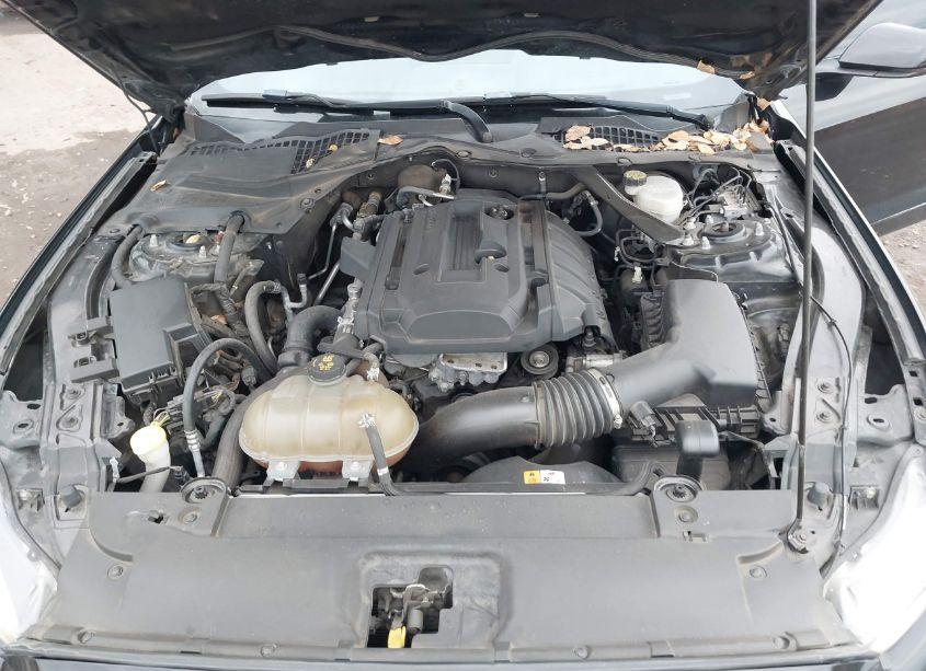 Photo 10 of 2017 Ford Mustang ECOBOOST (VIN 1FA6P8TH3H5203880)