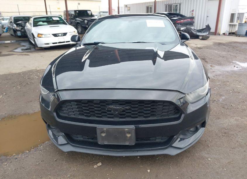 Photo 12 of 2017 Ford Mustang ECOBOOST (VIN 1FA6P8TH3H5203880)
