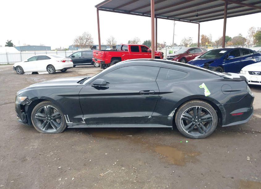 Photo 14 of 2017 Ford Mustang ECOBOOST (VIN 1FA6P8TH3H5203880)