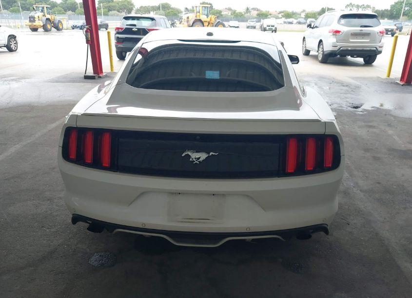 Photo 16 of 2017 Ford Mustang ECOBOOST (VIN 1FA6P8TH3H5237110)
