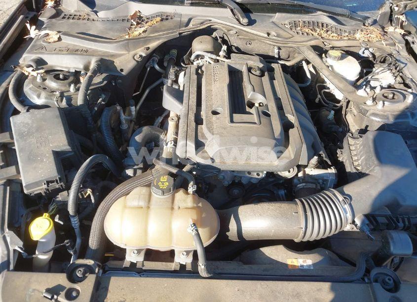 Photo 10 of 2017 Ford Mustang ECOBOOST (VIN 1FA6P8TH3H5335294)