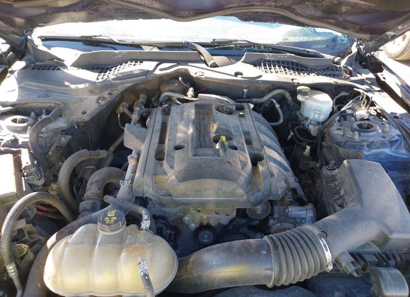 Photo 10 of 2018 Ford Mustang ECOBOOST (VIN 1FA6P8TH3J5104188)