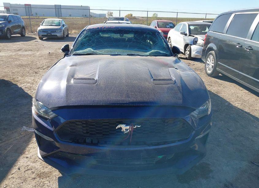 Photo 12 of 2018 Ford Mustang ECOBOOST (VIN 1FA6P8TH3J5104188)