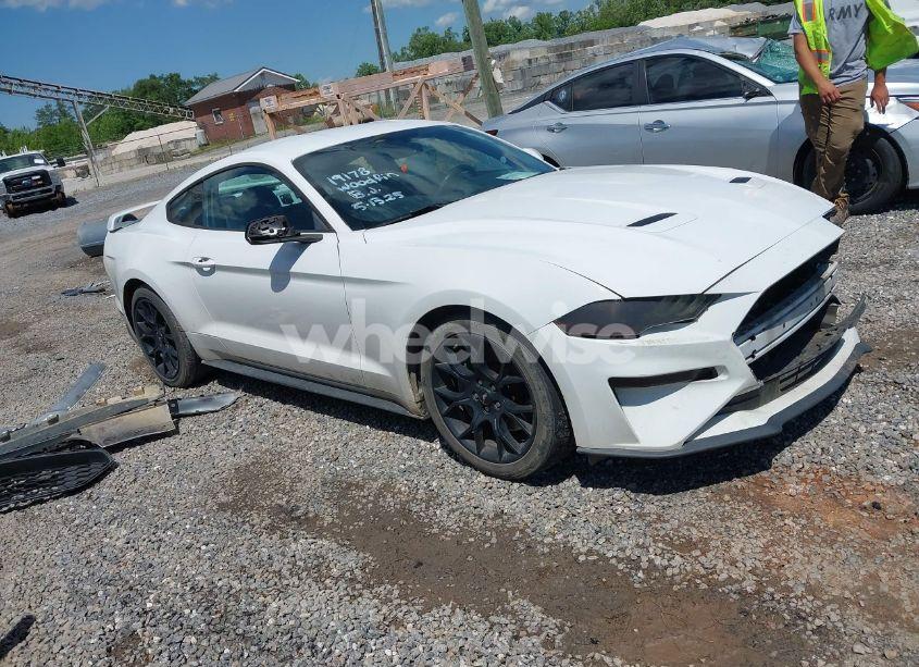 2019 Ford Mustang ECOBOOST (VIN 1FA6P8TH3K5105908) main photo