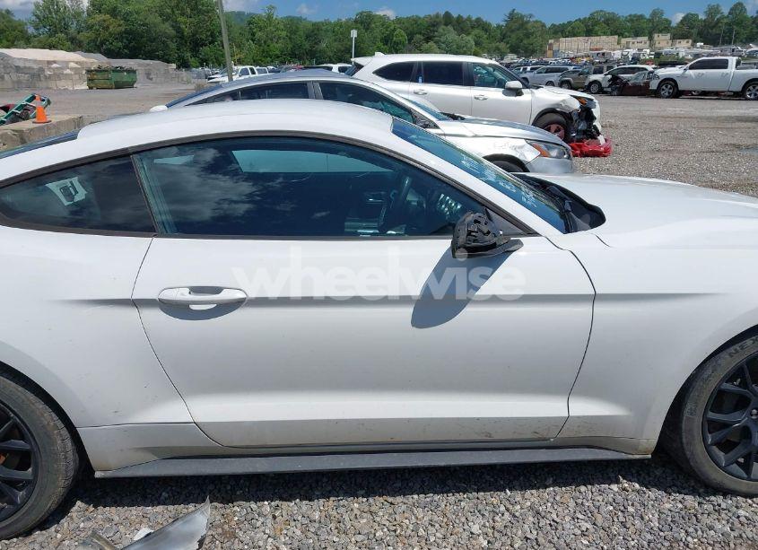 Photo 14 of 2019 Ford Mustang ECOBOOST (VIN 1FA6P8TH3K5105908)